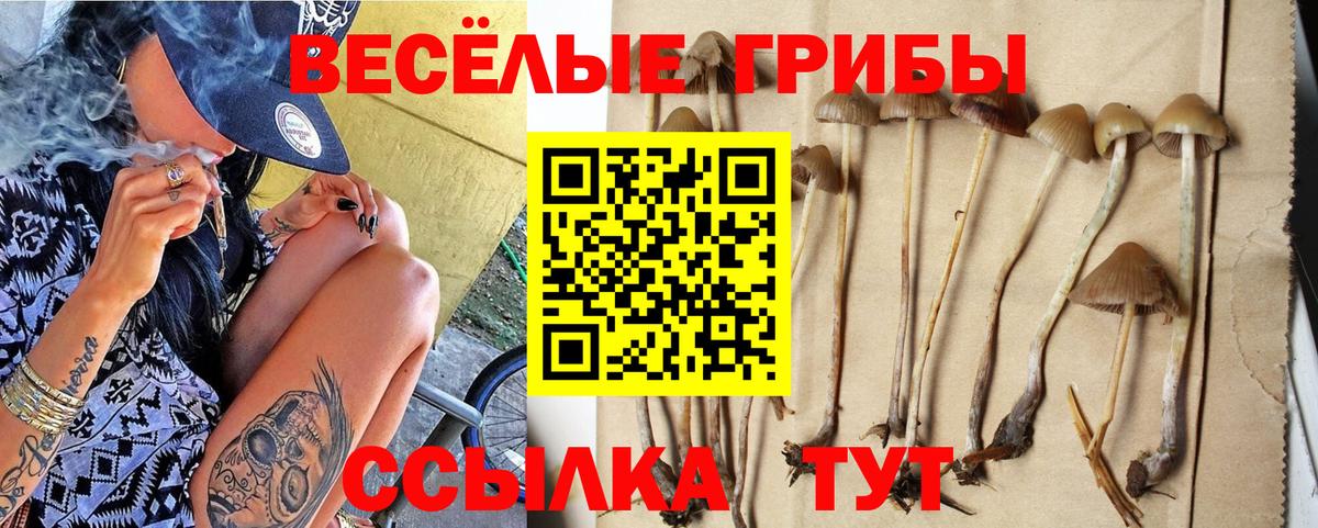 Псилоцибиновые грибы Cubensis Шали